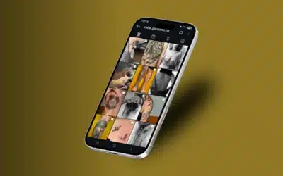 Gestion de réseaux sociaux ponctuelle pour Mira Picvoine