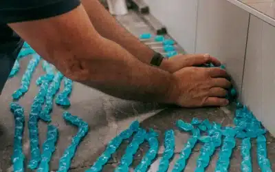 Photographie en pleine production avec la confiserie Au Pic Gourmand