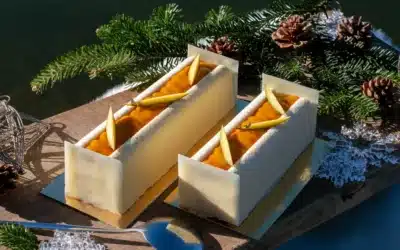 Photographie produits pour les bûches de Boulangerie Plume !