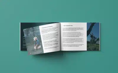 Stratégie de Communication pour Guillaume de Pic Paysages