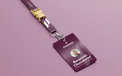 Création d’identité visuelle pour Phoenix Evasion