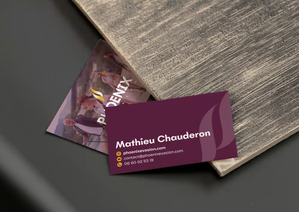 Prestation de graphisme avec la création de la nouvelle identité visuelle de Phoenix Evasion par Chauderon Voyages, organisation de séjours pour séniors dans le sud-ouest - logo, couleurs et éléments graphiques.