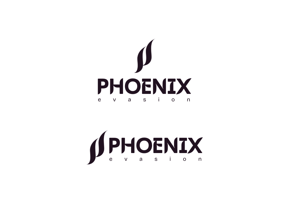 Prestation de graphisme avec la création de la nouvelle identité visuelle de Phoenix Evasion par Chauderon Voyages, organisation de séjours pour séniors dans le sud-ouest - logo, couleurs et éléments graphiques.